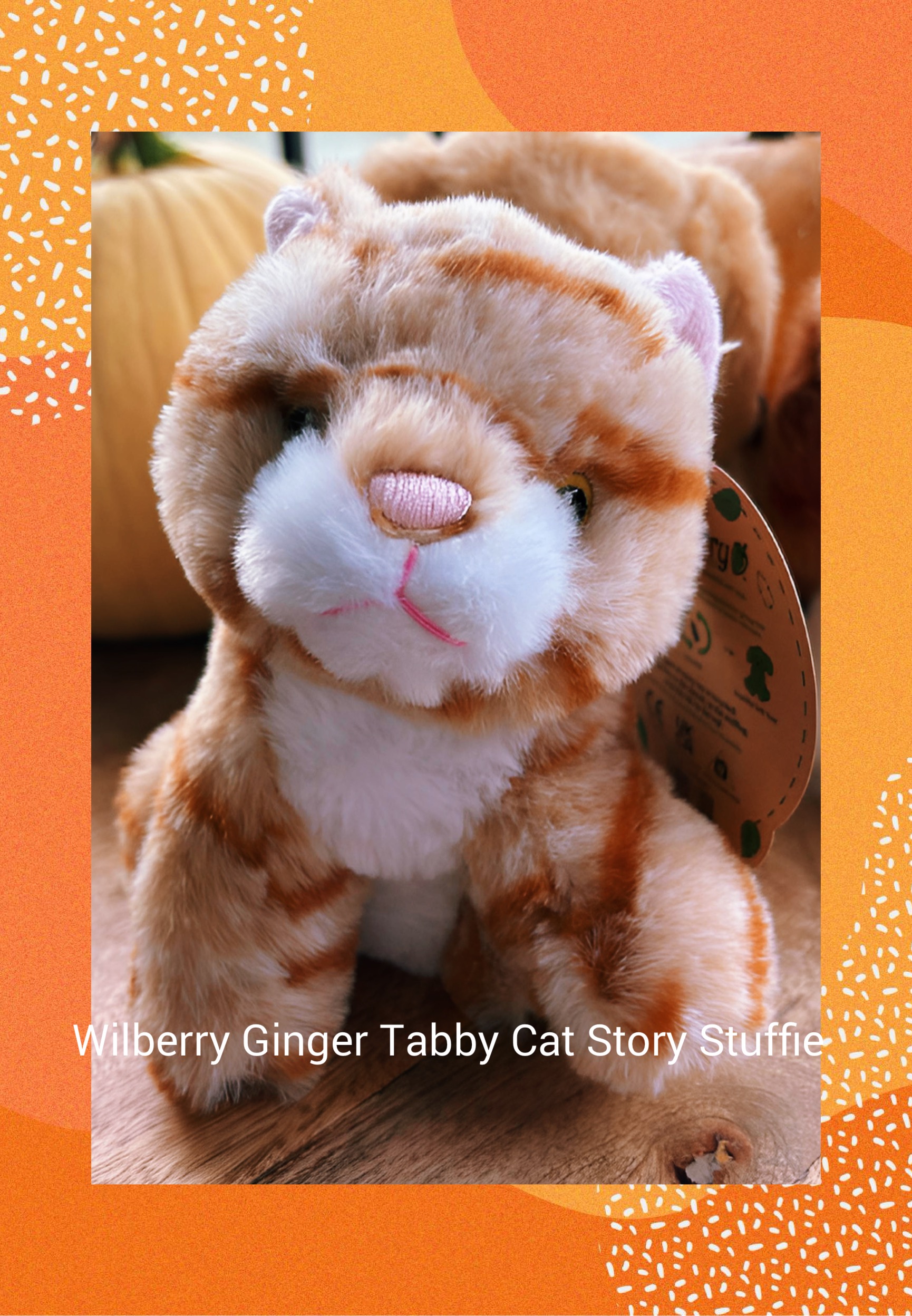 Tabby Cat Story Stuffie